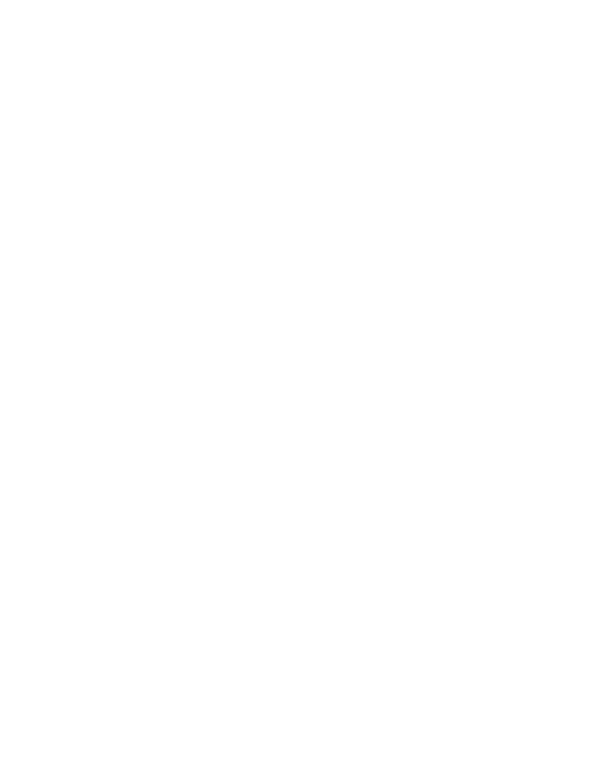 Twisted Vision Works